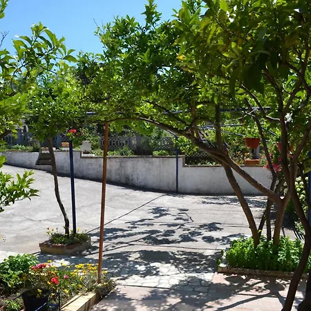 Danijela Apartman *
